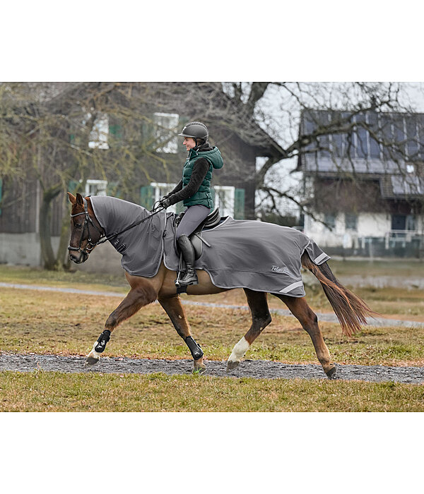 Coperta da passeggiata in softshell con collo rimovibile Alecto