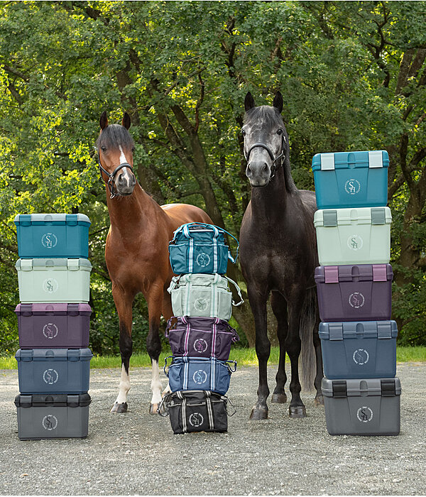 Borsa grooming Cambridge
