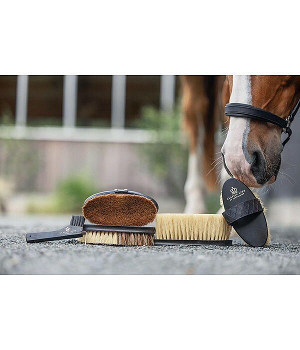 Brusca per la polvere