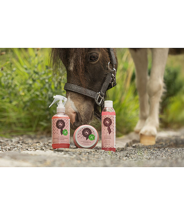 Spray districante brillantinato Champion