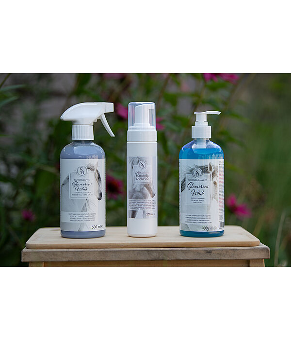 Shampoo schiuma per grigi