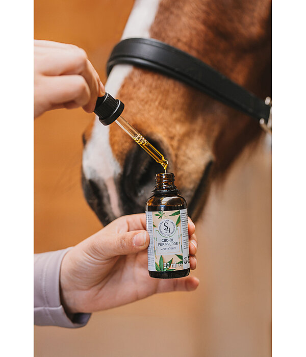 Olio con CBD 25 % per cavalli