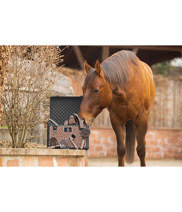 Bauletto Leo