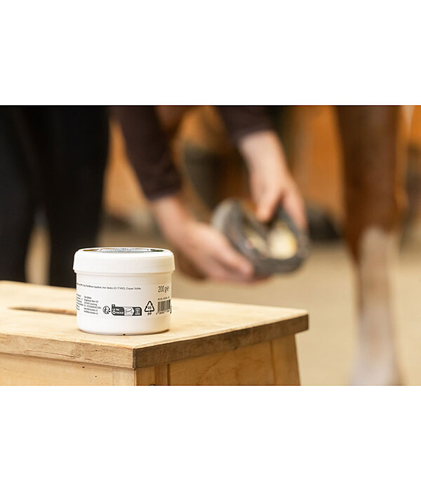 Pasta per fettone & suola