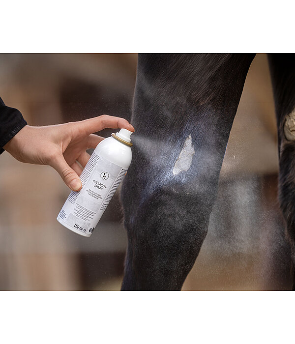 Spray al collagene