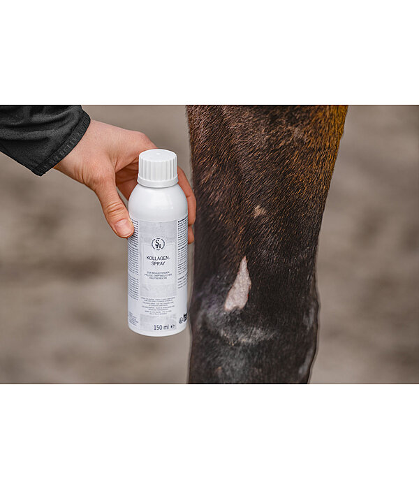 Spray al collagene