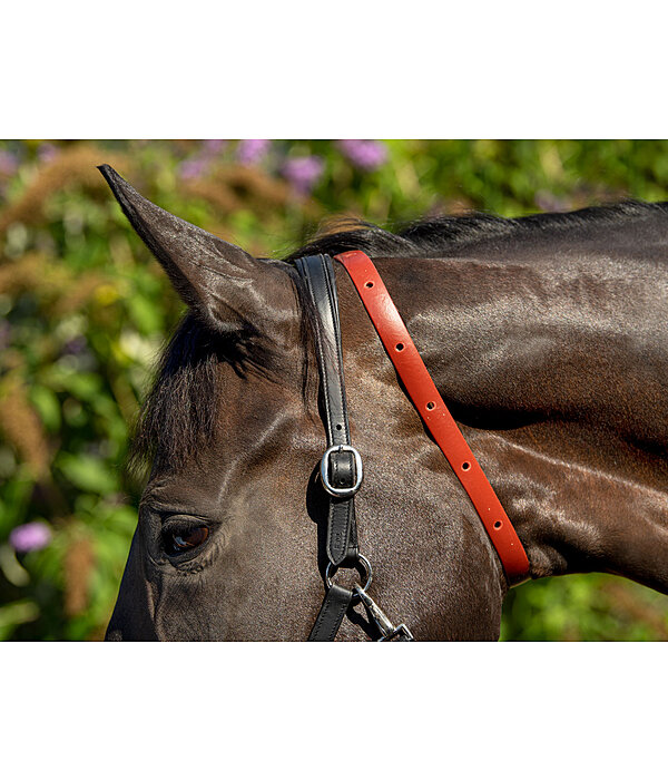 EMUKOEP Pettorale LED Per Cavallo Con Luci - Alta Visibilità E Sicurezza - 3 Modalità Lampeggianti - Regolabile