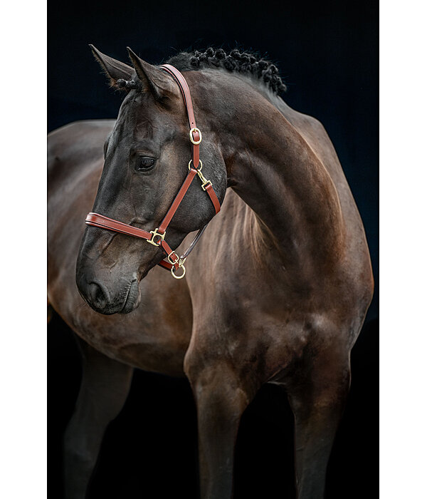 Capezza in cuoio Siri