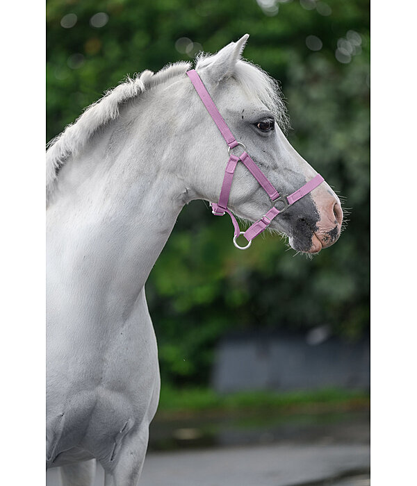 Capezza per puledri e Shetland Grow With You