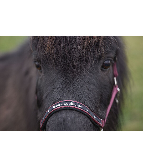 Capezza per puledri e Shetland Future Star