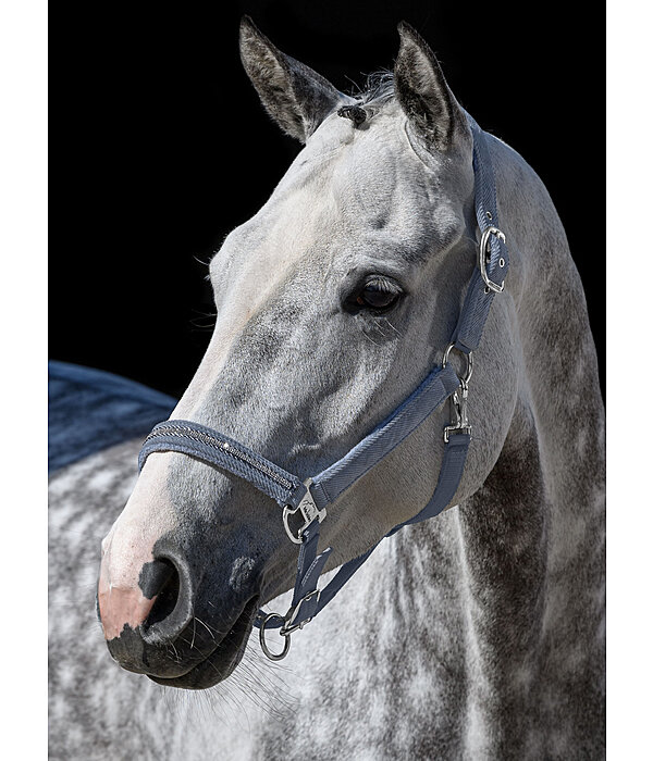 Capezza Cord & Glamour