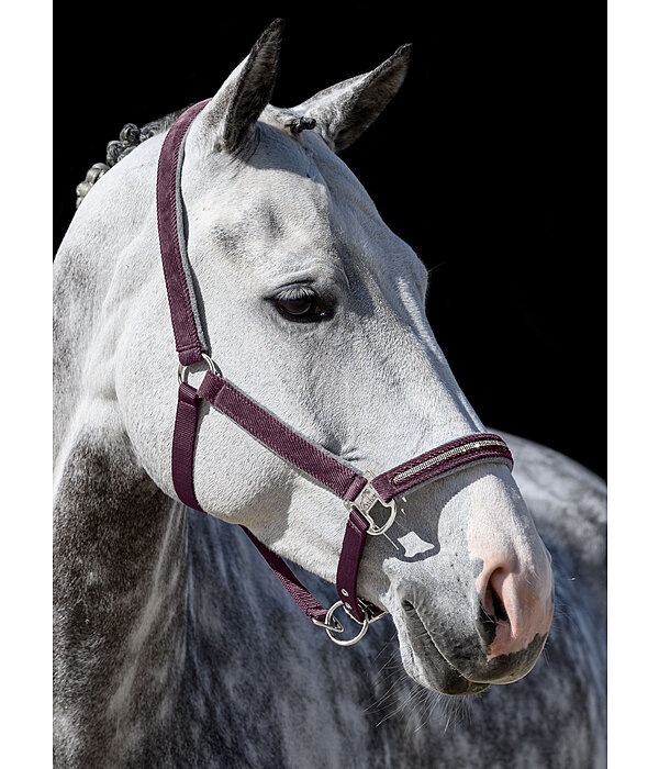 Capezza Cord & Glamour