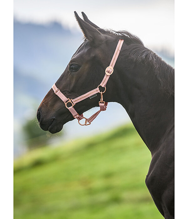 Capezza per puledri e Shetland Shimmering