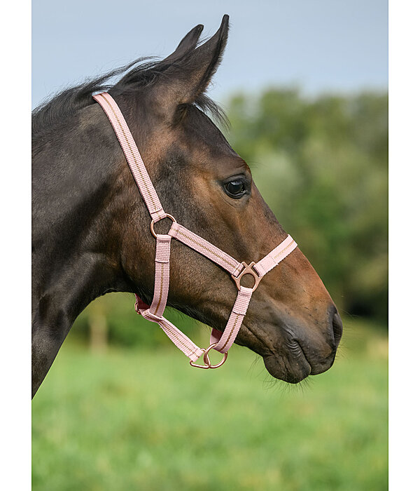 Capezza per puledri e Shetland Shimmering