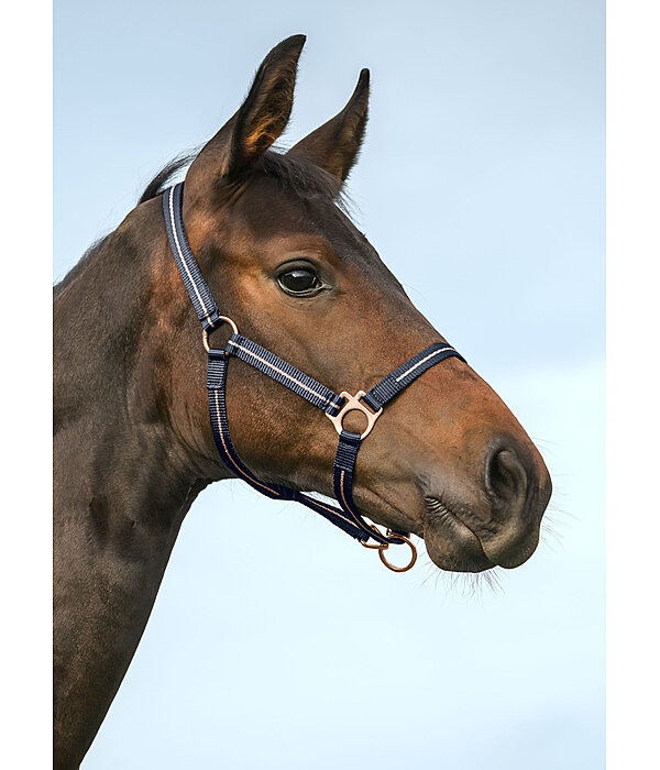 Capezza per puledri e Shetland Shimmering