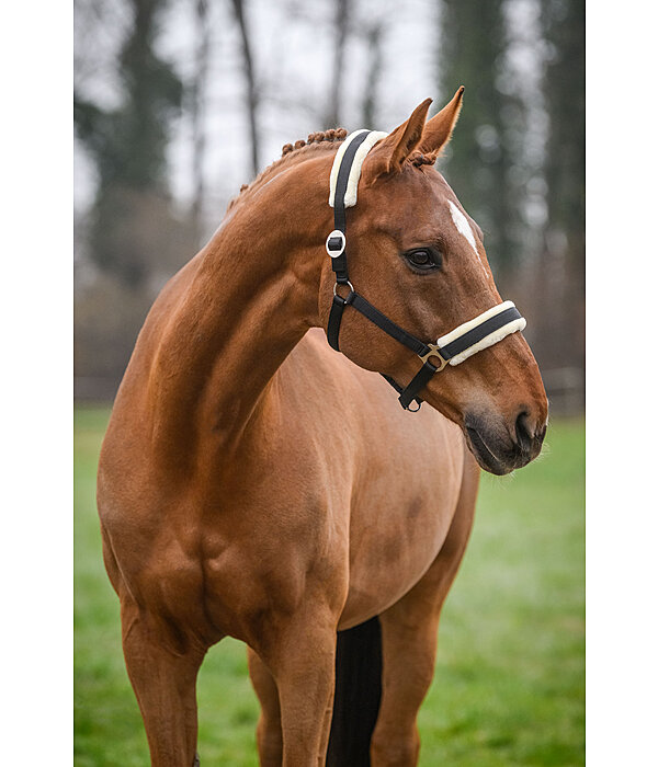 Cavezza Per Cavallo Orsacchiotto - Nylon Con Pelliccia Sintetica - Regolabile