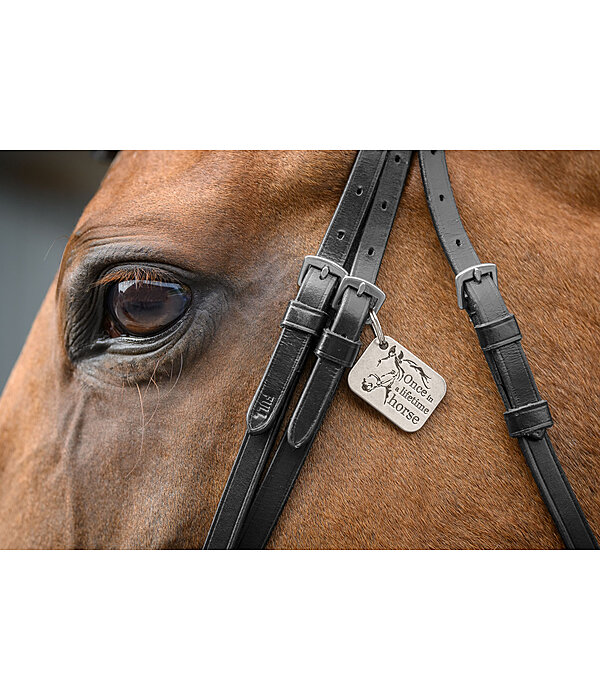 Charm once in a lifetime horse