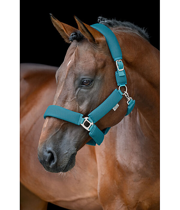 Capezza Mesh Airflow