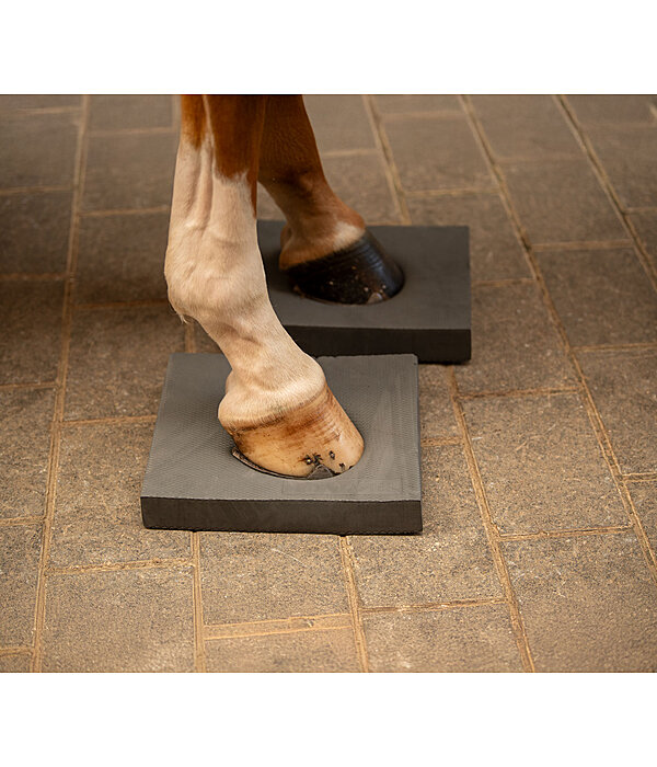 Balance Pad