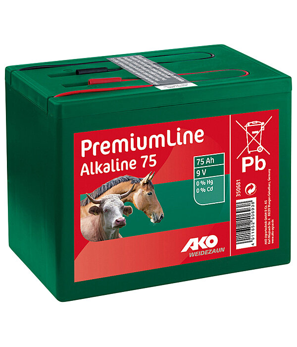 Batteria alcalina 9 V 75 Ah