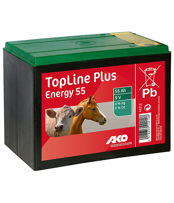 Batteria TopLine Plus Energy 9 V 55 Ah
