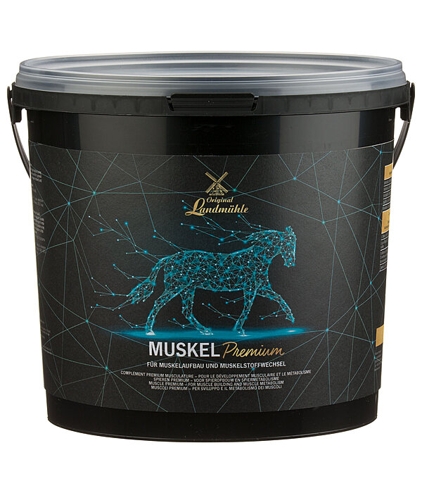 Muscoli premium