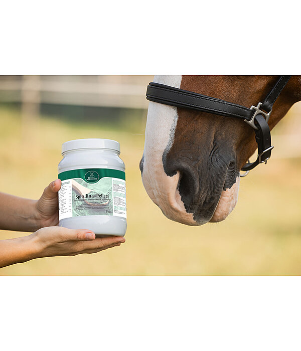 Pellets di spirulina