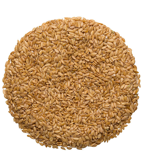 Semi di lino dorati