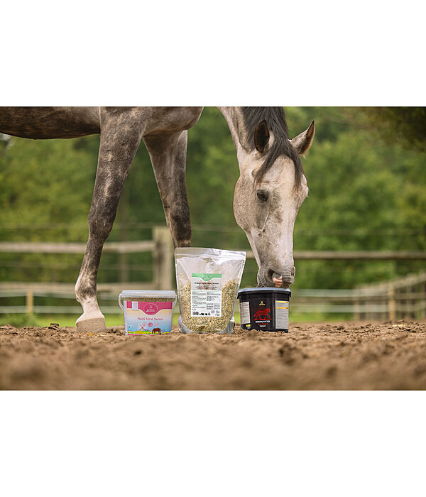 Miscela di erbe Senior