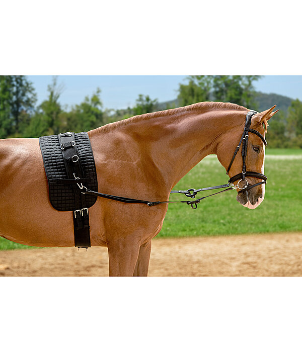Redini fisse in cuoio con anello in gomma