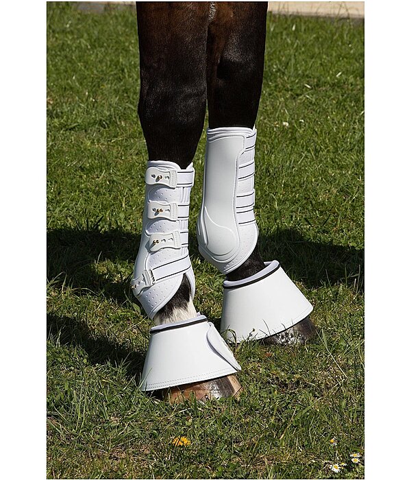 Stinchiere da dressage Perfect Protection, anteriori