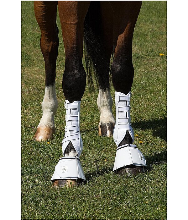 Stinchiere da dressage Perfect Protection, anteriori