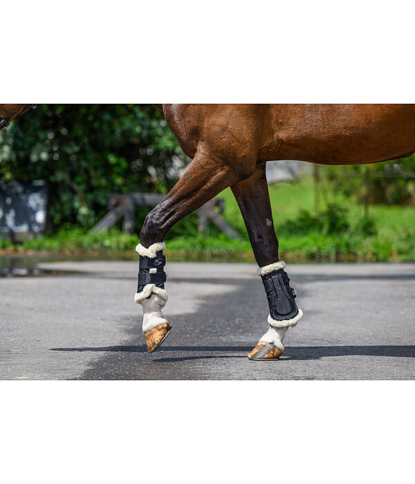 Stinchiere da dressage Air, anteriori