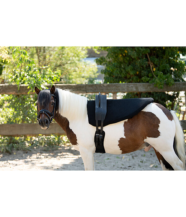 Fascione da volteggio Entrance