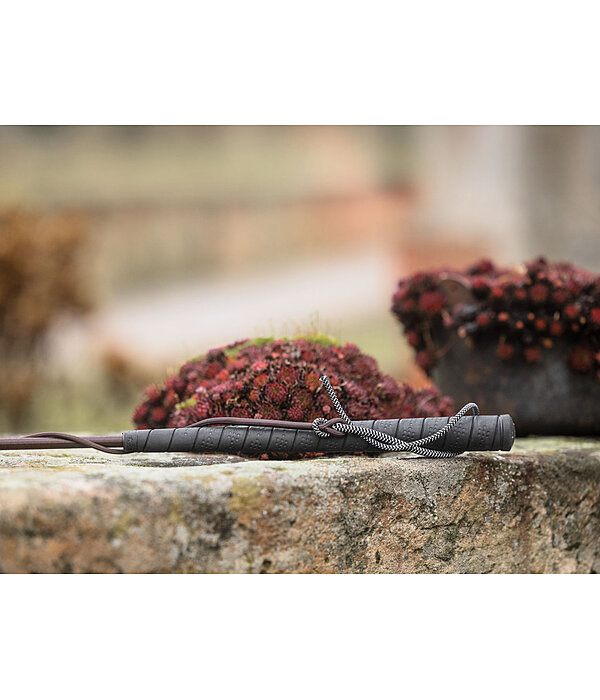 Frusta da addestramento