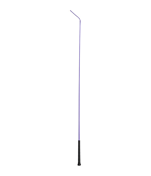 Frustino dressage Ergo