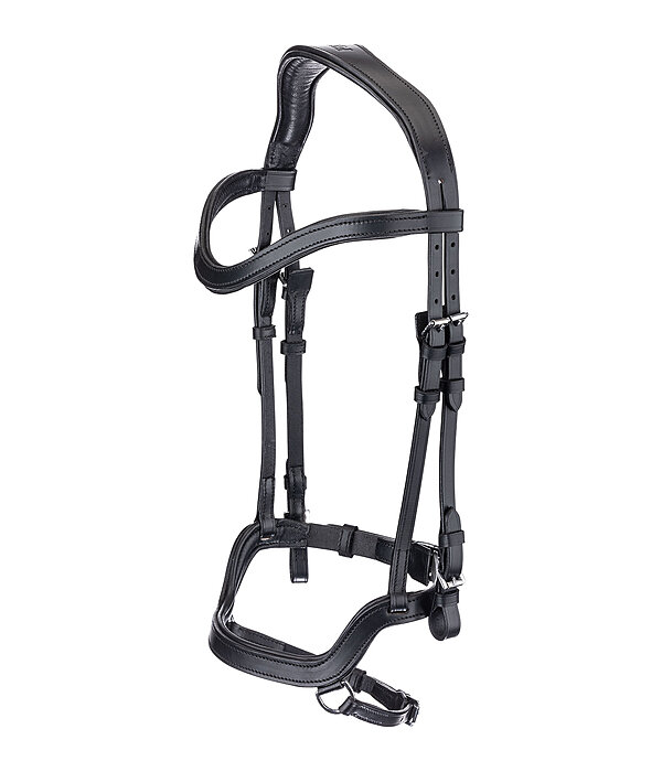 Testiera anatomica Linur