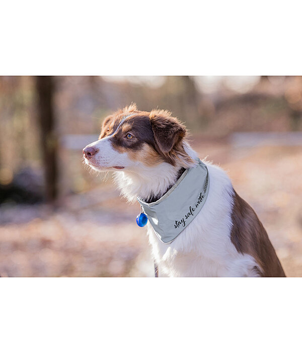 Bandana riflettente per cani