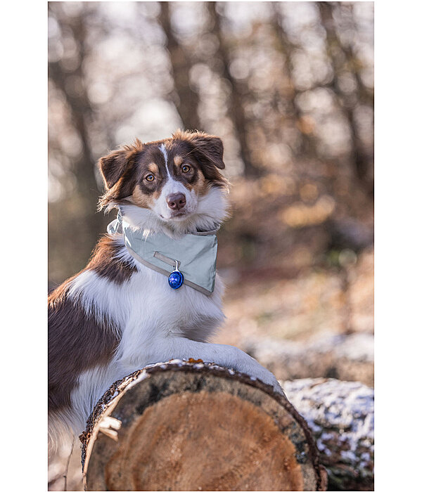 Bandana riflettente per cani