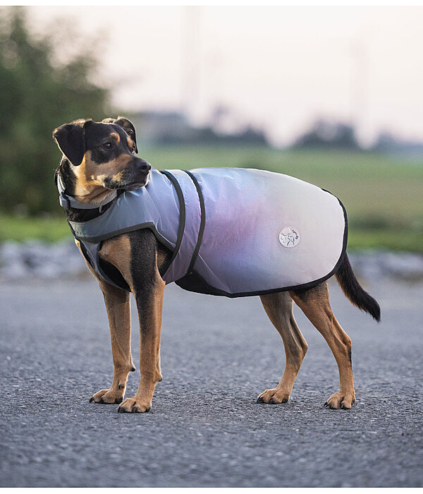 Cappotto per cani riflettente