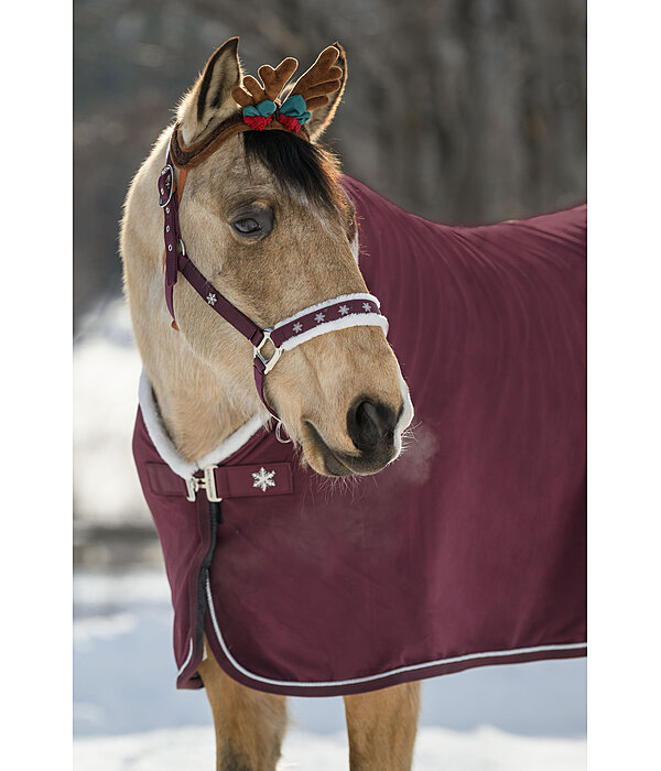 Capezza Christmas Collection