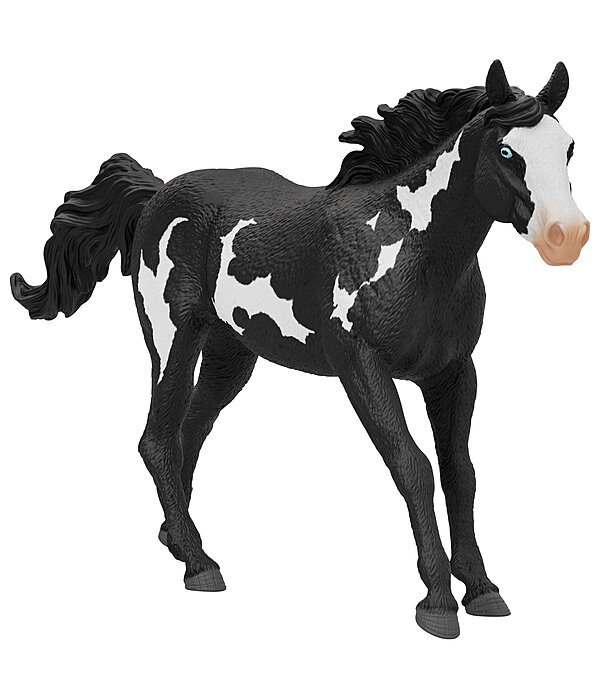 Castrone Paint Horse