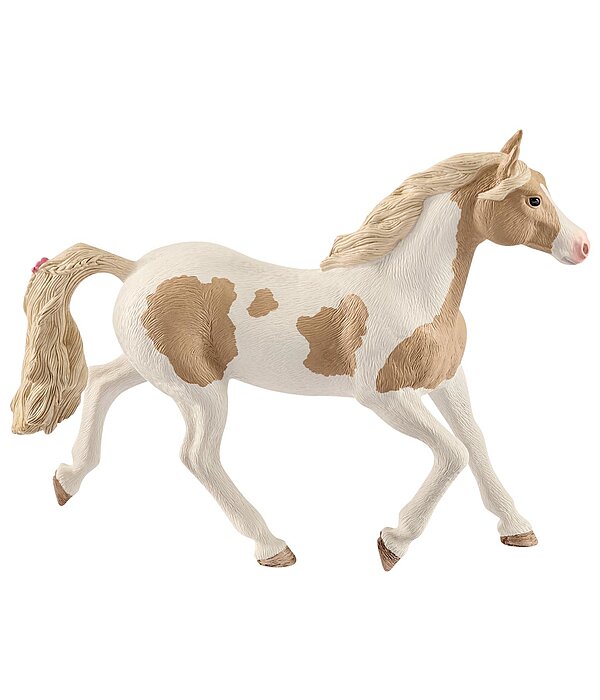 Cavalla Paint Horse