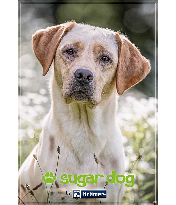  Buono regalo stampabile 