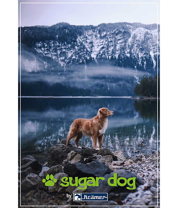  Buono regalo stampabile 